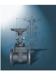 API a105 forged  flange gate valve